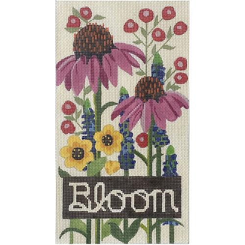 Bloom with Coneflower