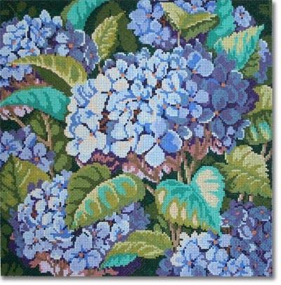 Blue Hydrangea