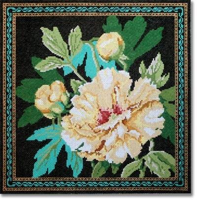 Tree Peony with Border