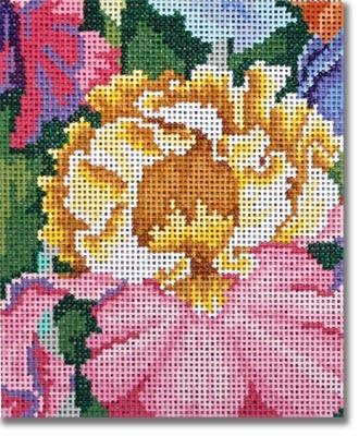 Iris Paradise - Small