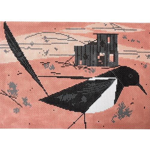 Black Billed Magpie