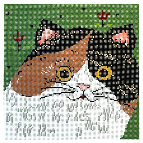 Claire Cat