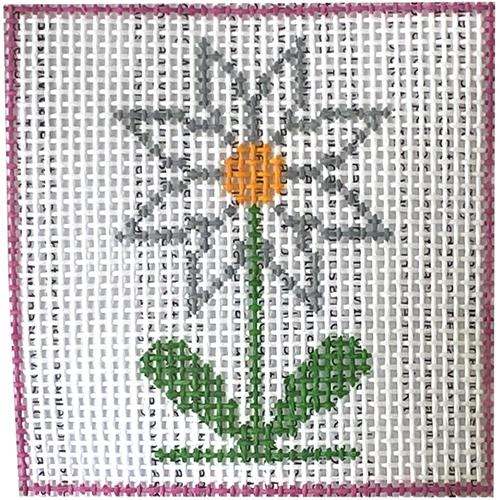 Daisy Beginner Kit