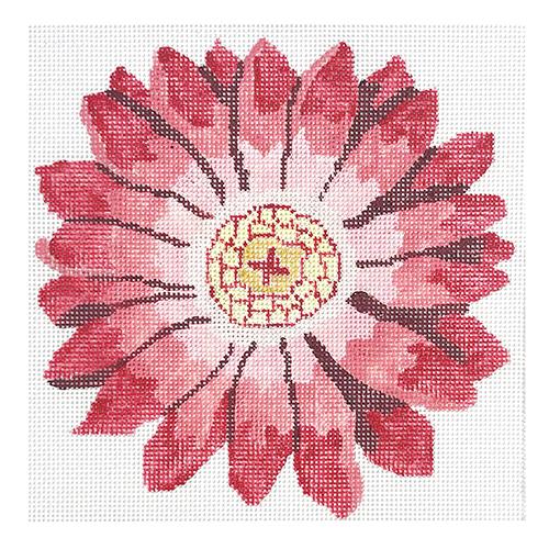 Flame Gerber Daisy