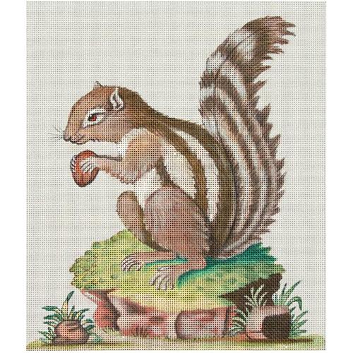 Squirrel Eating Acorn