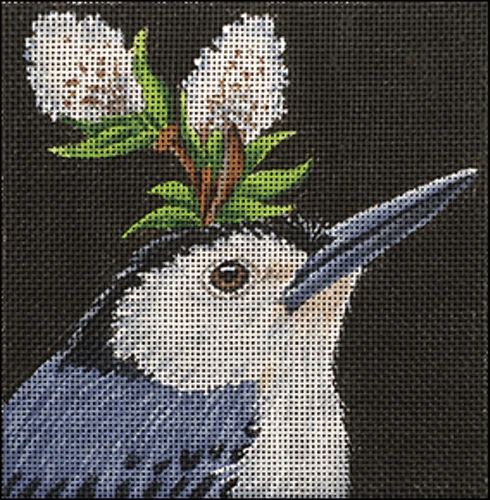 Stephan Nuthatch