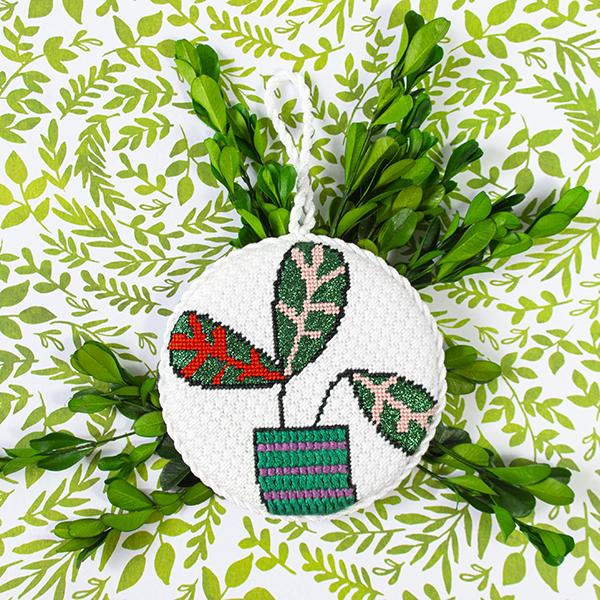 Prayer Plant Kit