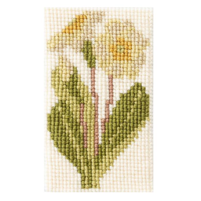 Primula Starter Kit - Image 2
