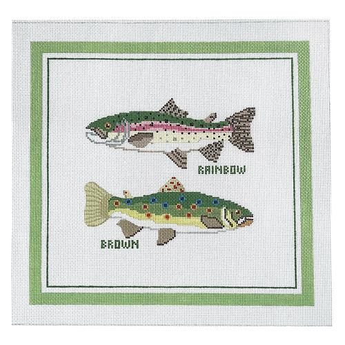 Rainbow & Brown Trout