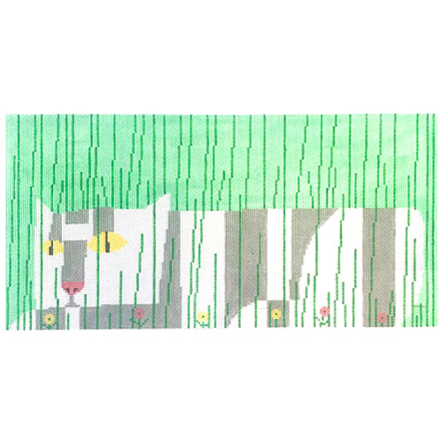 Spring Creeper