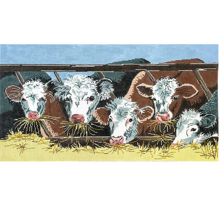 White Faced Cows Eating